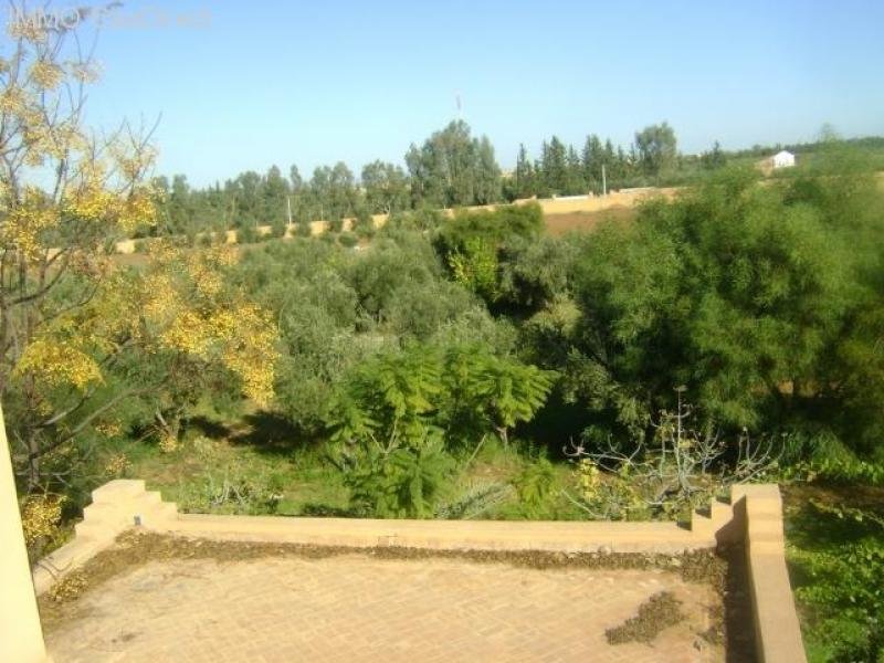 marrakech Exclusive, einmalig schöne landwirtschafliche Liegenschaft mit Villa und Olivenhainen Haus kaufen